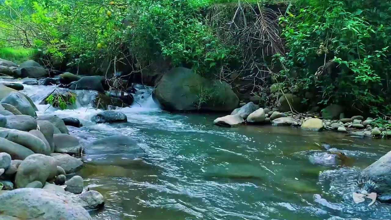 River Sounds for Sleeping. Waterfall Flowing Mountain Forest 24/7. Waterfall Sounds, White Noise #2