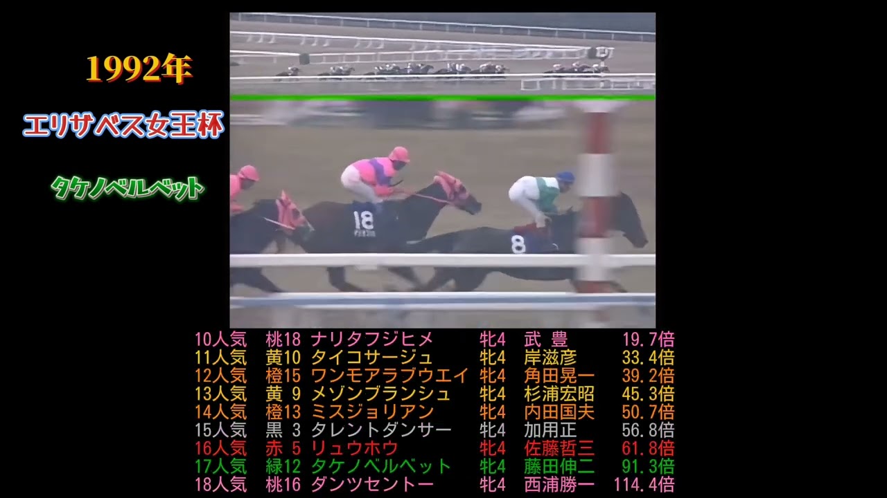 1992年エリザベス女王杯　タケノベルベット　#競馬 #競走馬 #horse #ウマ娘 #藤田伸二#武豊