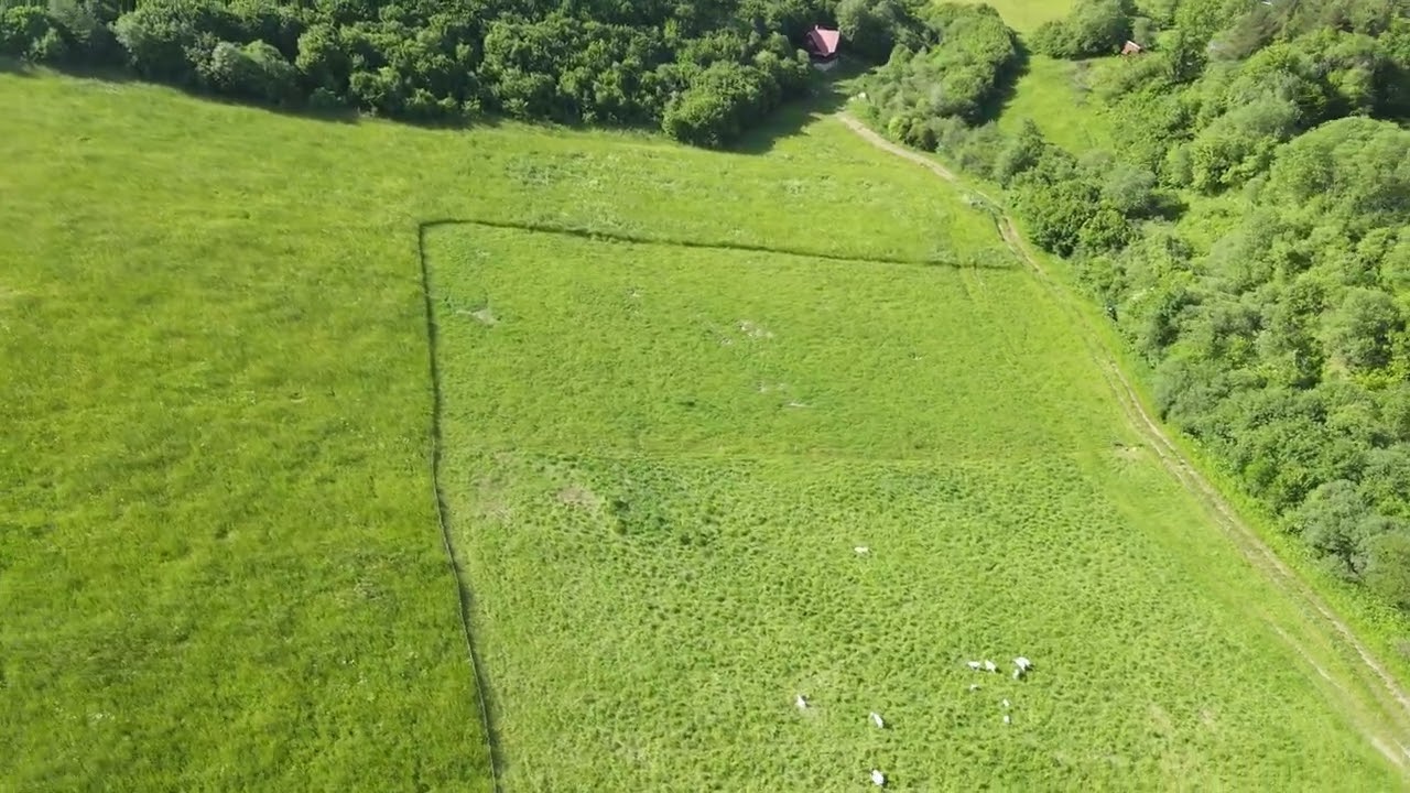 Predaj pozemku  (Vyšné Ružbachy)