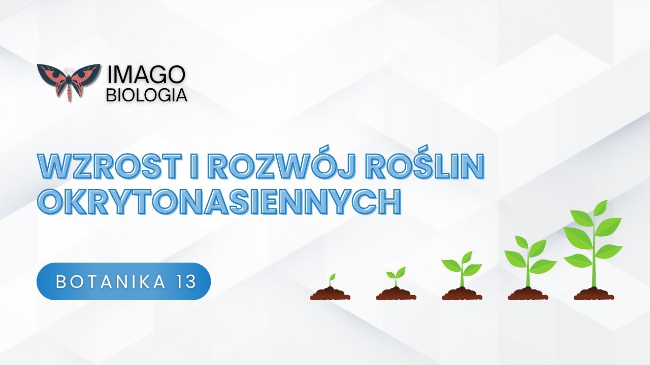 Wzrost i rozwój roślin okrytonasiennych