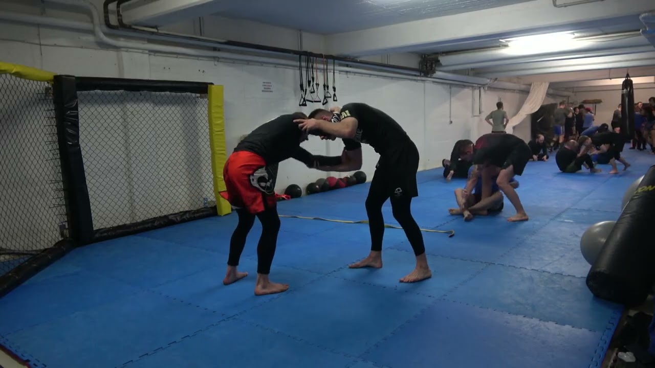 Constant Rise - Day 7 of 2026 - BJJ Rolling