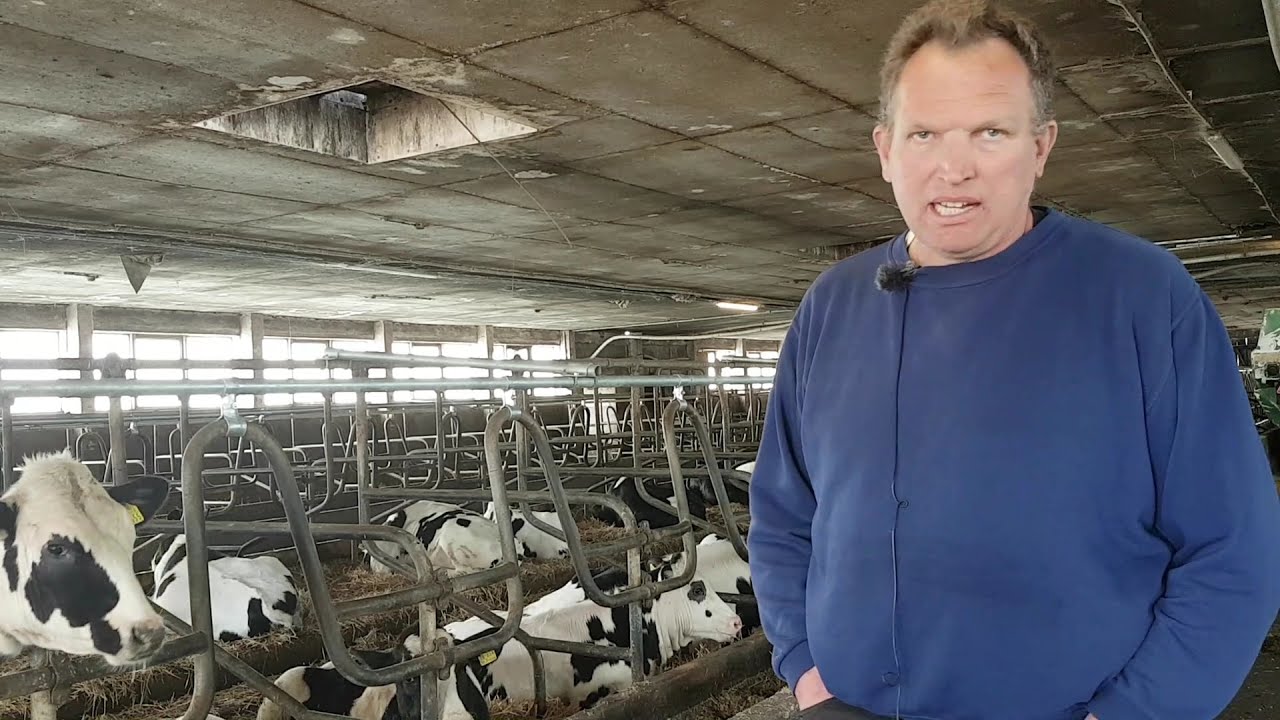Hofspaziergang: Milchviehbetrieb Harry Weijs in Groß Stove