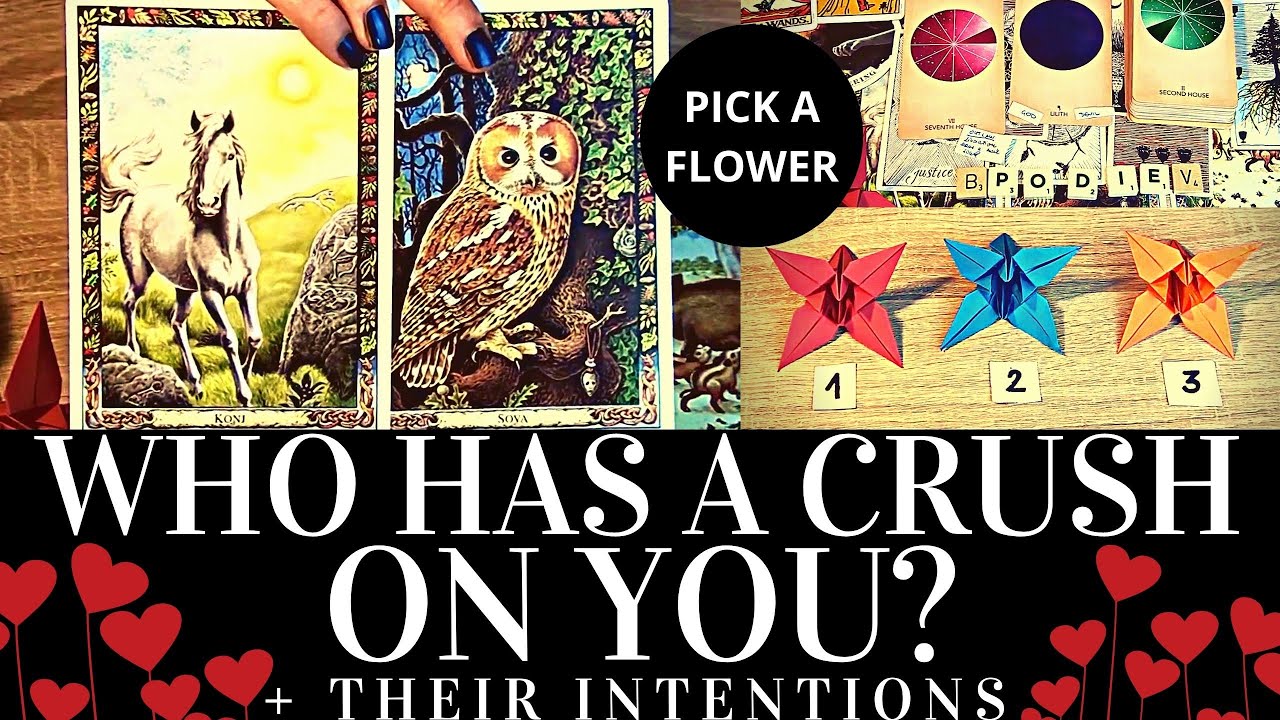 PICK A CARD 💗🤔 WHO HAS A CRUSH ON YOU? + THEIR INTENTIONS 🤔💗 Psychic Love Tarot Reading 💝 Timeless