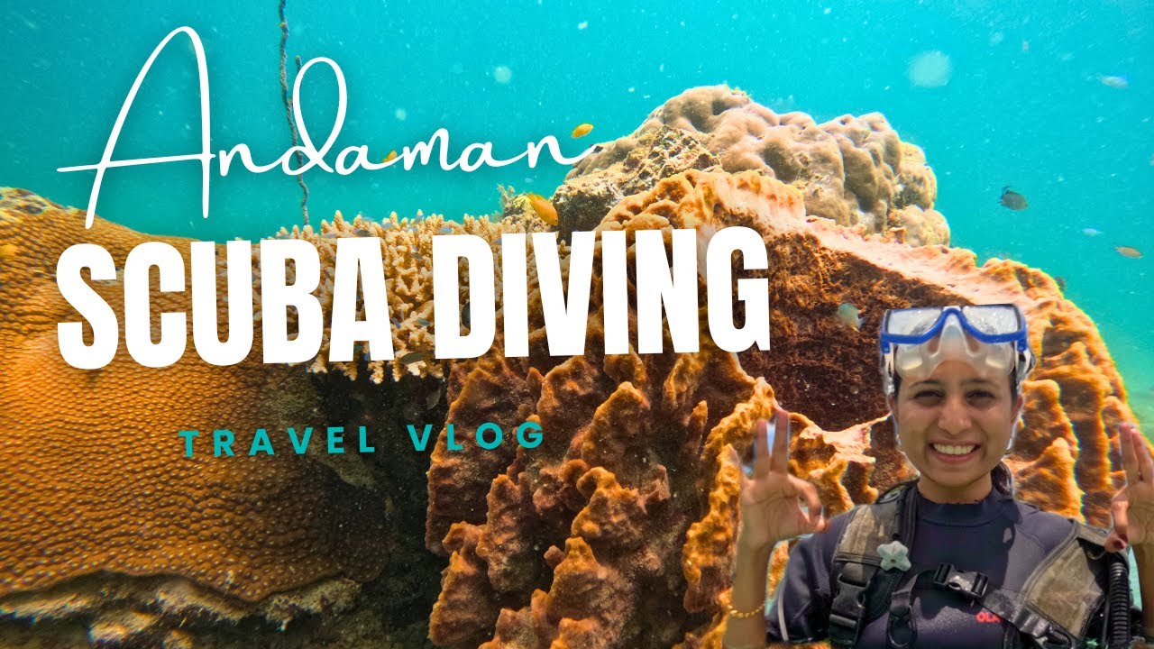 Scuba diving experience in Andaman Island 😍🏝️ 🤿 #scubadiving #andaman #travelvlog #viralvideo #fyp 