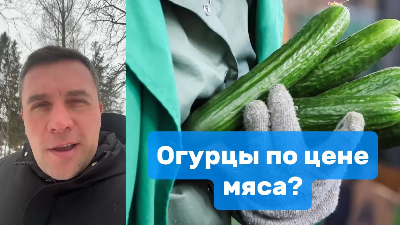 Огурцы подорожали до уровня мяса | Николай Бондаренко