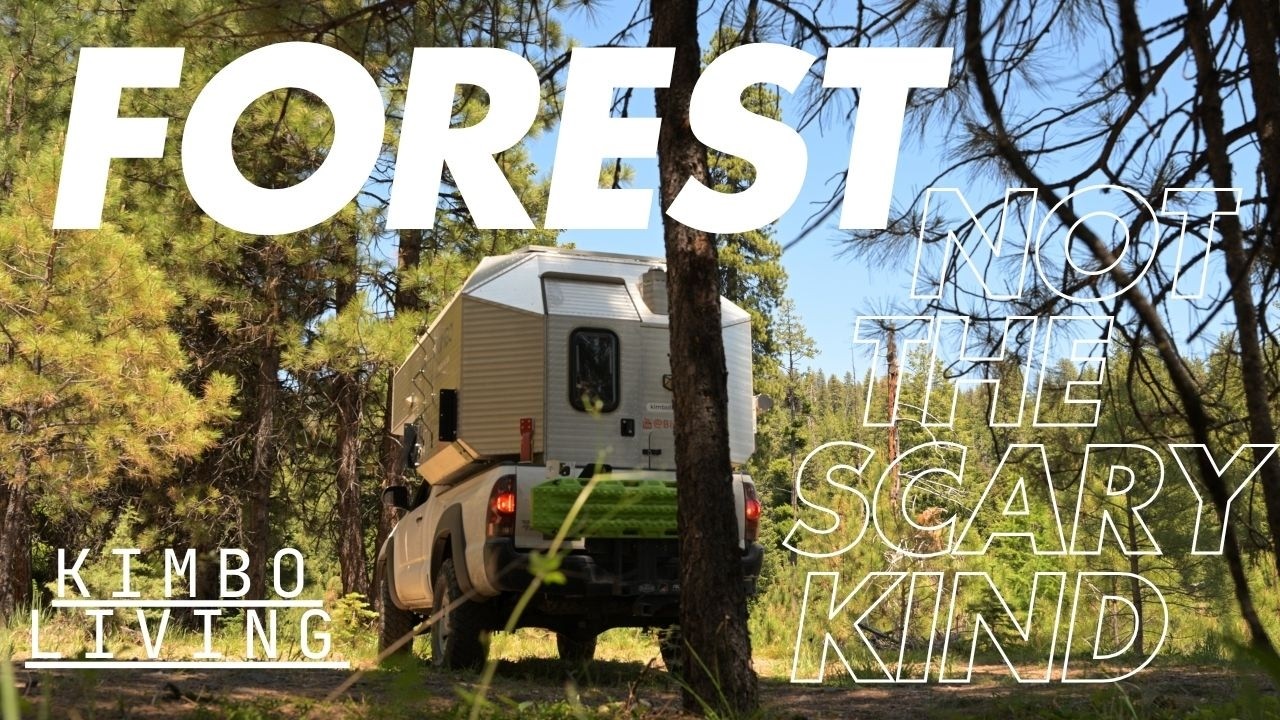 Forest - Not the Scary Kind