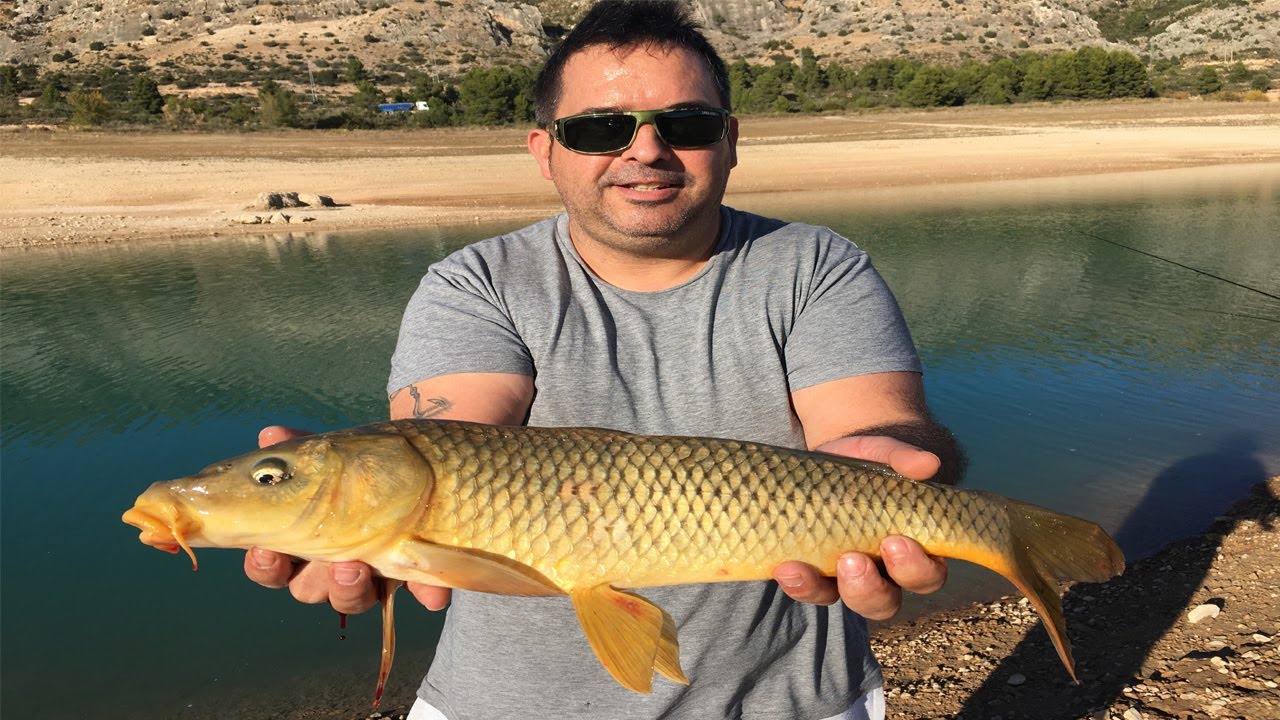 Jornada de Pesca express en el Pantano de Calanda. Pescando truchas y carpas a fondo