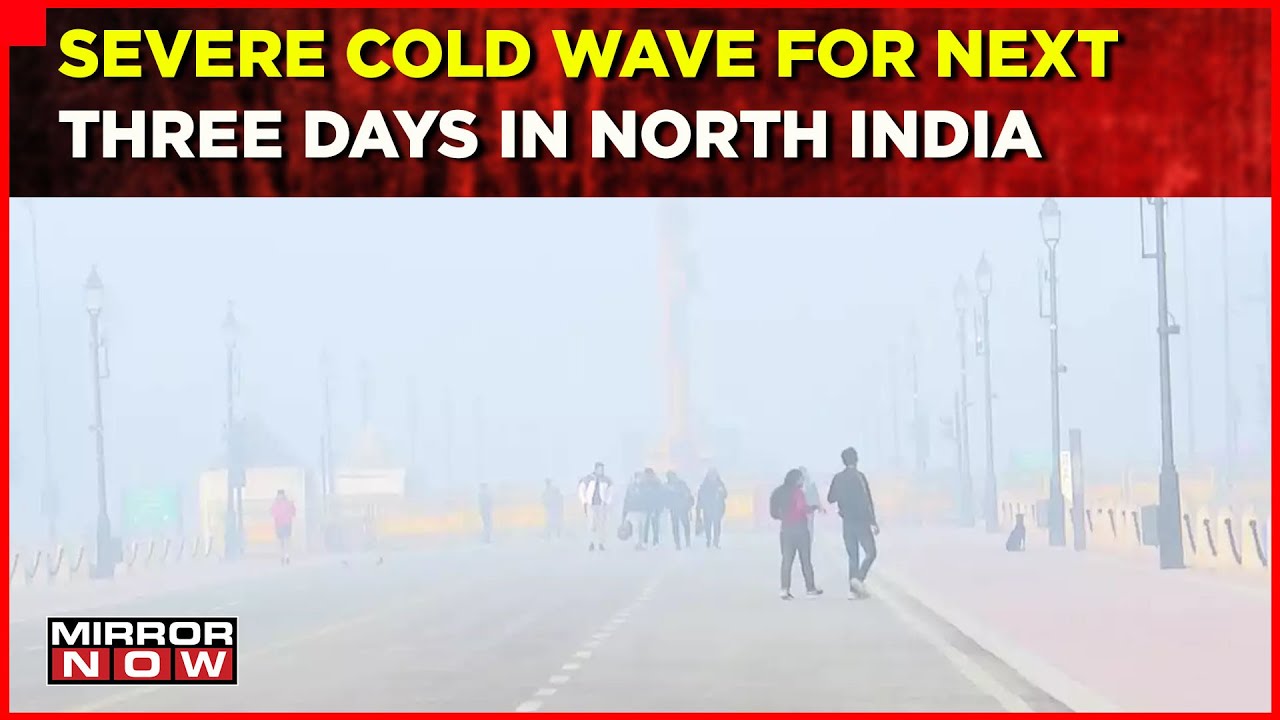 Cold Wave Returns In North India | IMD Predicts Severe Cold Wave For Next Three Days | Mirror Now