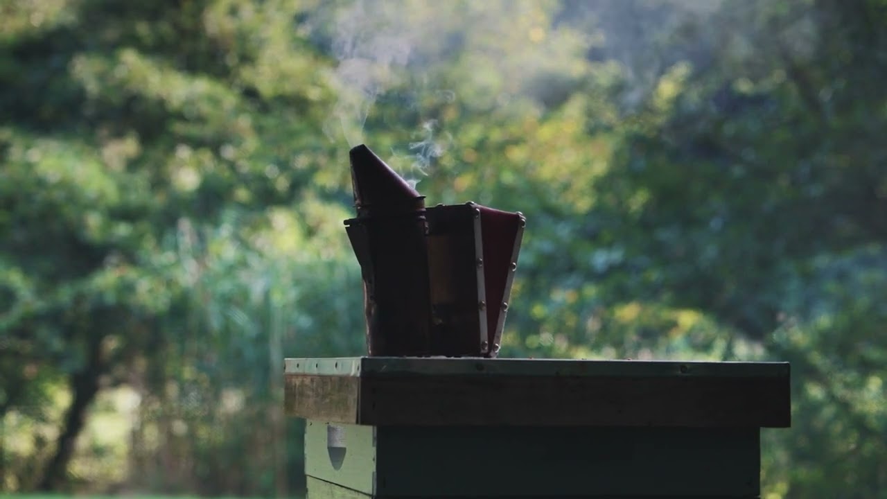 Cullen Brown Norfolk Beekeeper | Sony A7iv Cinematic Honey Bees Footage