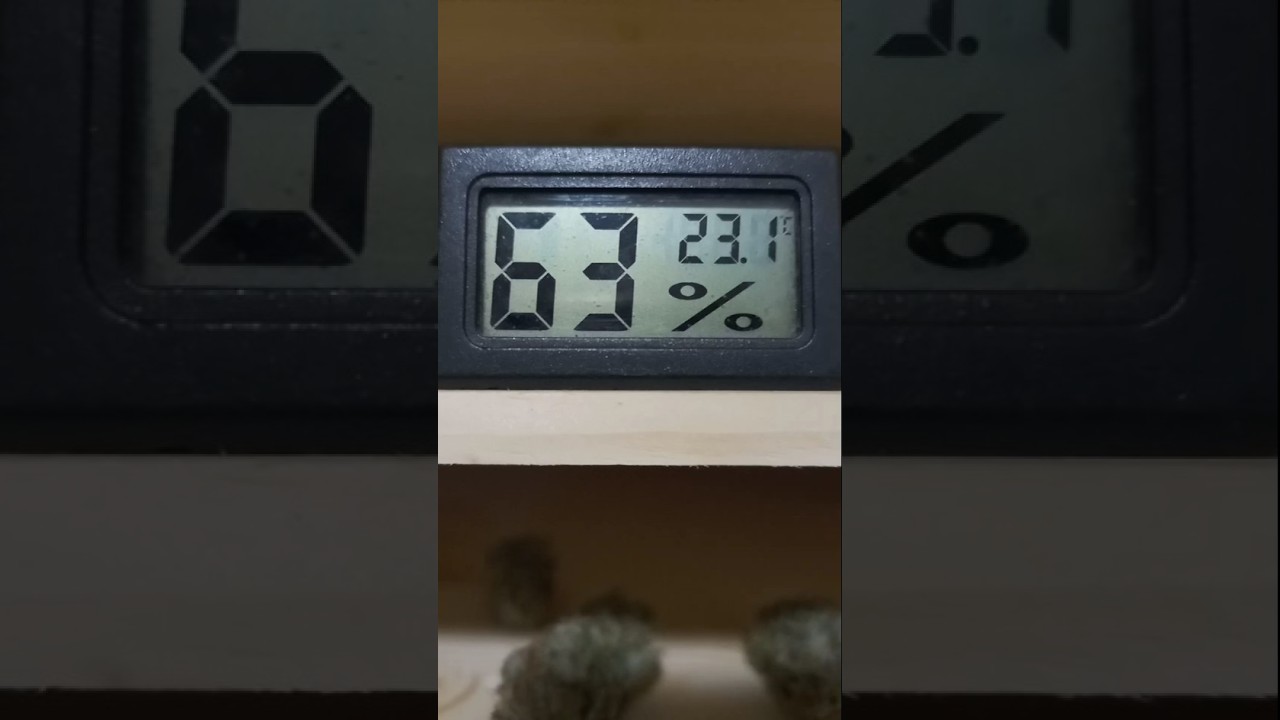 Ferment Box von Bonsanto/ Kräuter trocknen , und Fermentieren.