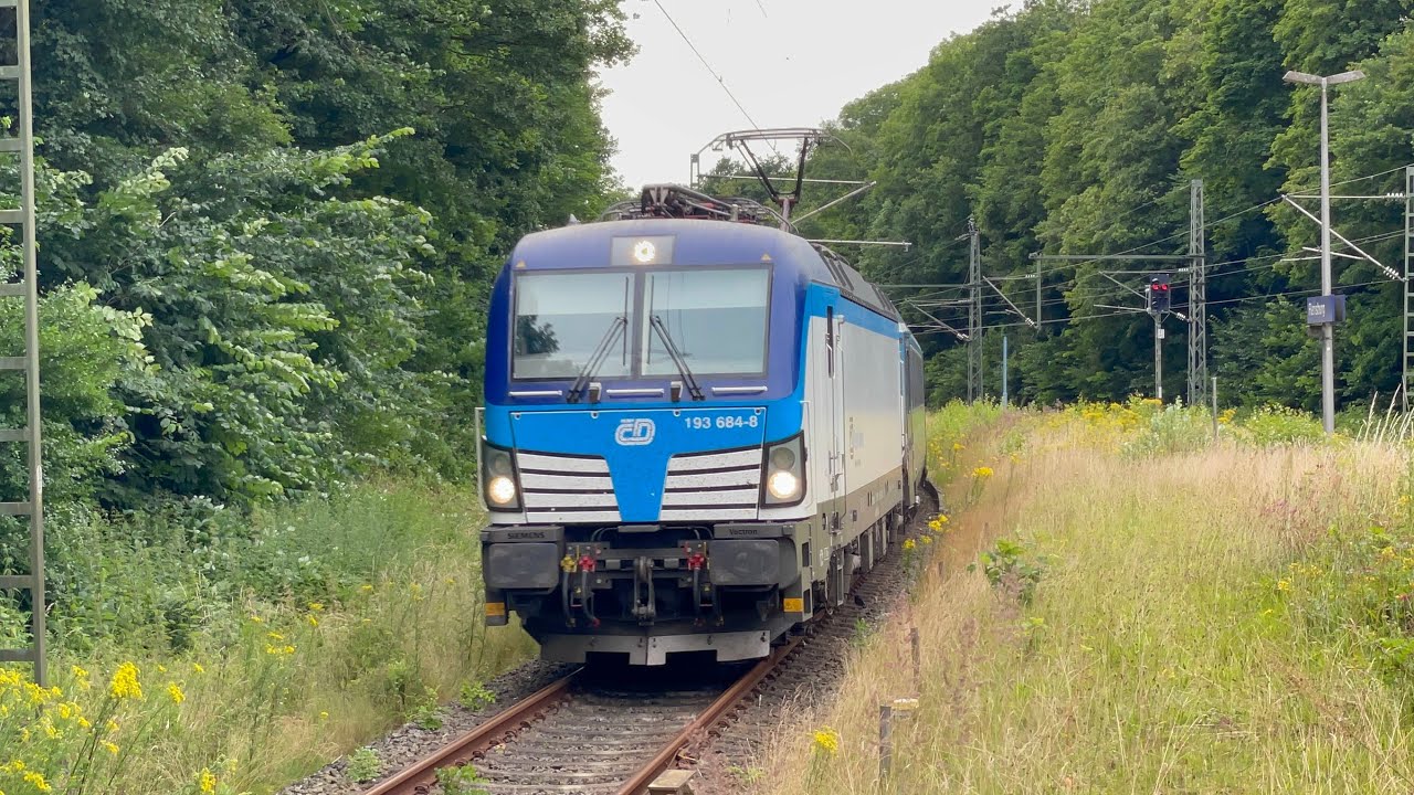 Trainspotting i Flensburg | Bahnverkehr in Flensburg | 2024