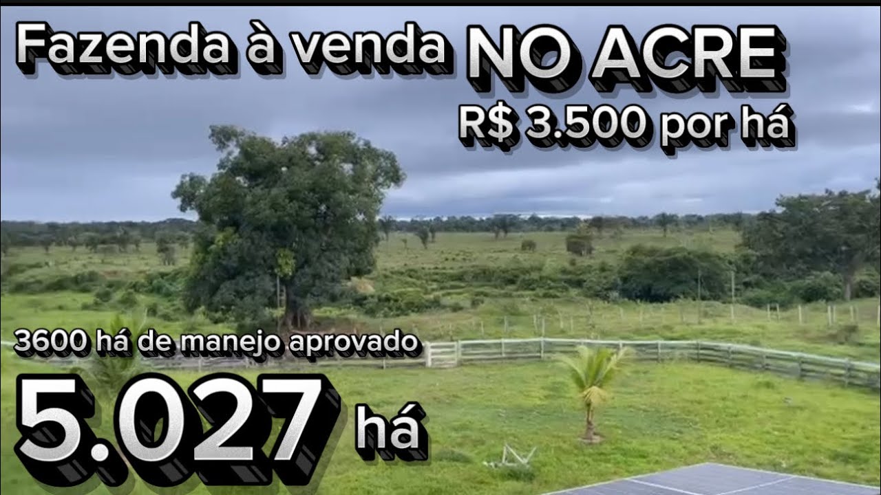 Fazenda barata a venda de 5.027 há, por 3.500 reais por há no Acre 