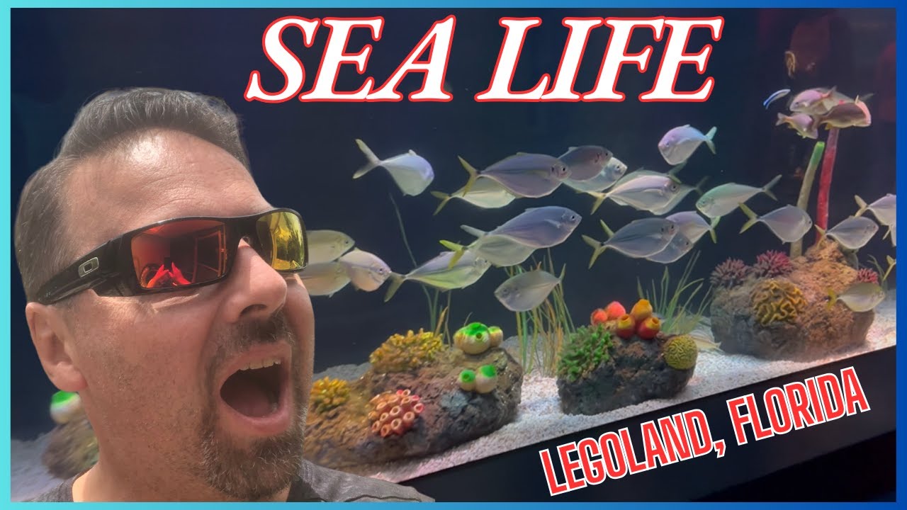 SEA LIFE AQUARIUM NEW LEGOLAND ATTRACTION #legoland