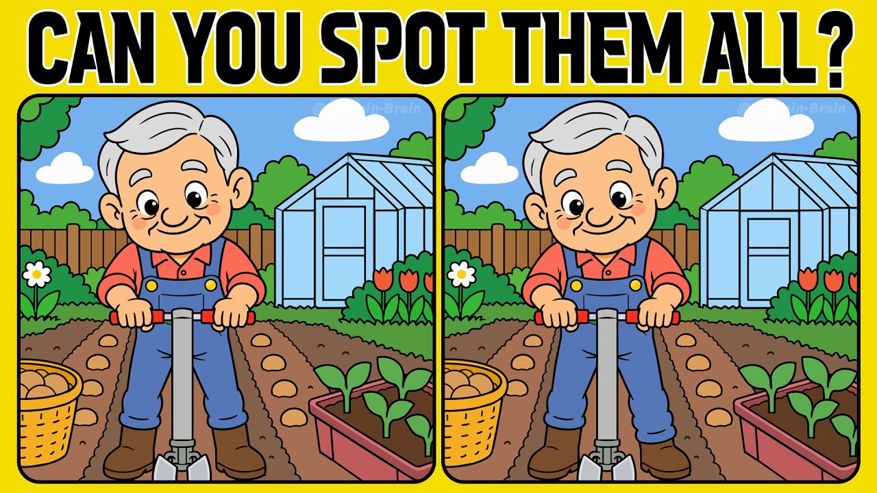 These Differences Are Easy to Miss! Can You Find Them All? (A Bit Tricky)