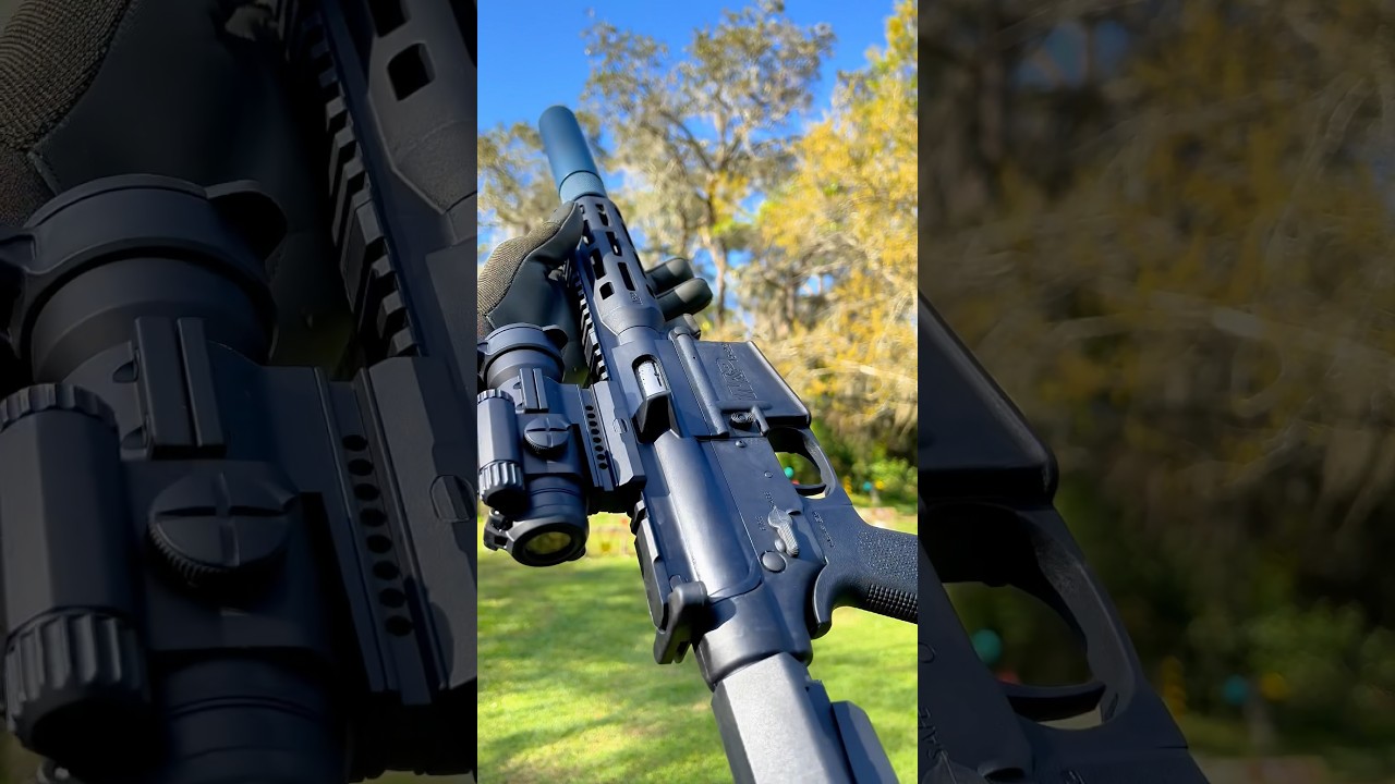 M&P 15-22 pew pew