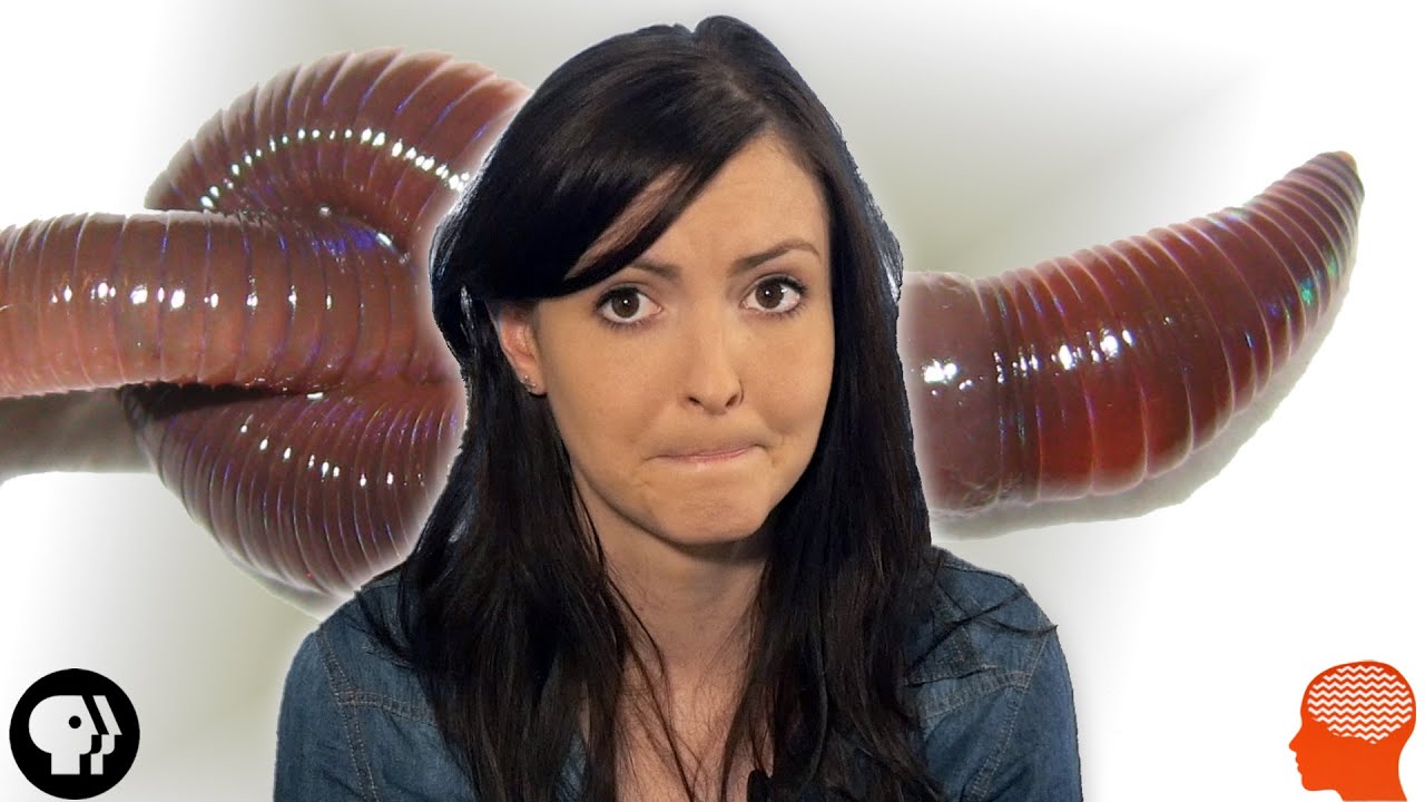 Why Do We Find Things Disgusting? | BrainCraft Q&A!