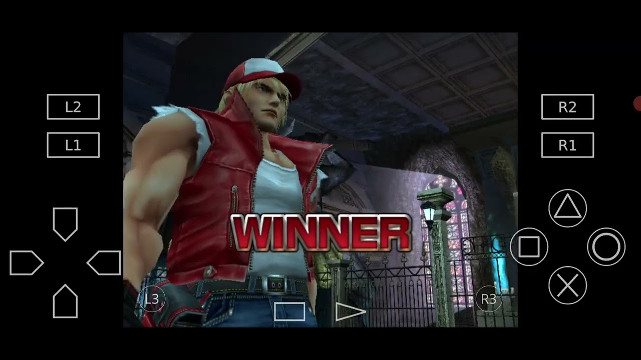 TERRY BOGARD #2