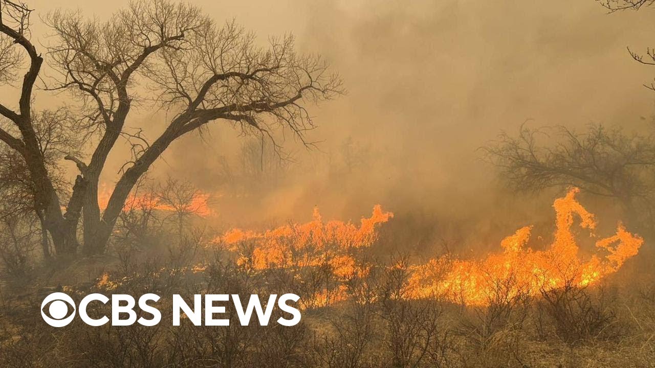 Texas Panhandle wildfire only 3% contained as it breaks records