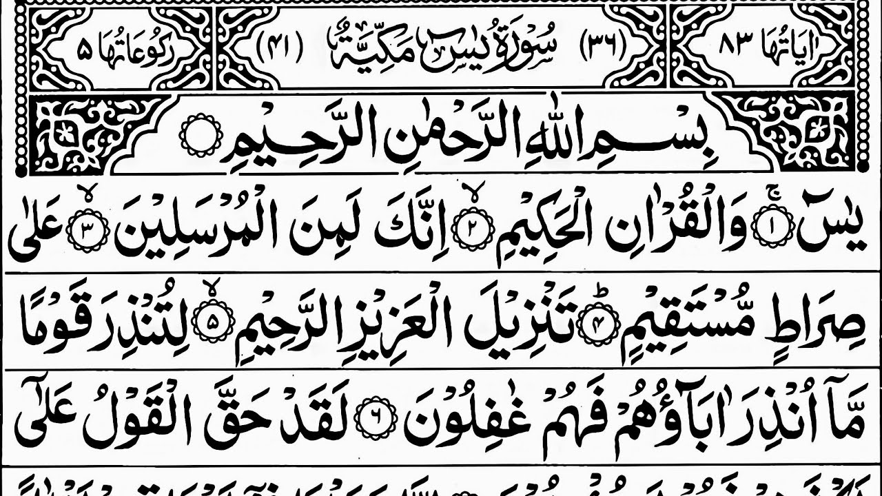 🔴 LIVE Surah Yaseen 🌙 With Arabic | Start Your Day with Divine Peace Heart-Touching Quran Recitation