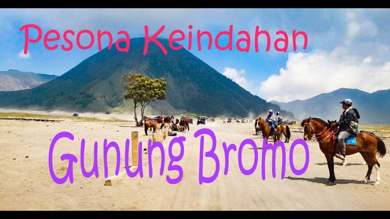Luar Biasa, Pesona GUNUNG #BROMO (Pananjakan, Lautan Pasir, Padang Savana & Kawah) #JawaTimur