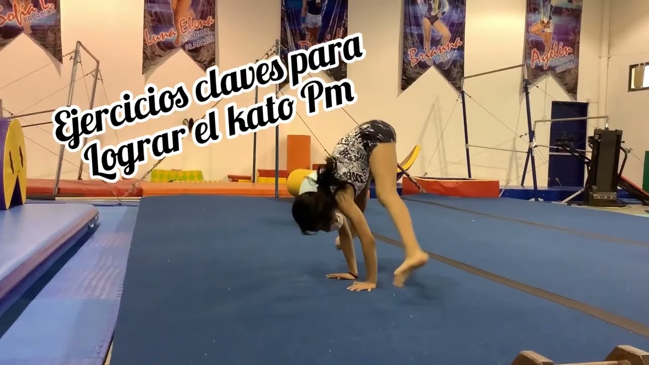 ❗️TUTORIAL GRATIS ❗️ COMO LOGRAR EL PARADO DE MANOS A fuerza 💪 😱🤸