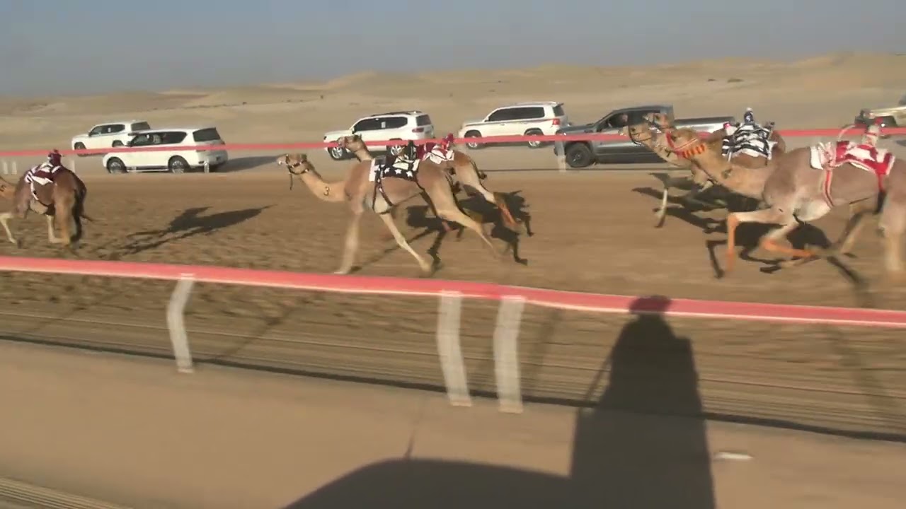الشوط  9 ☆(  سرابه  ) للسيد : نصيب مبارك بوهندي المنصوري توقيت 7.51.90