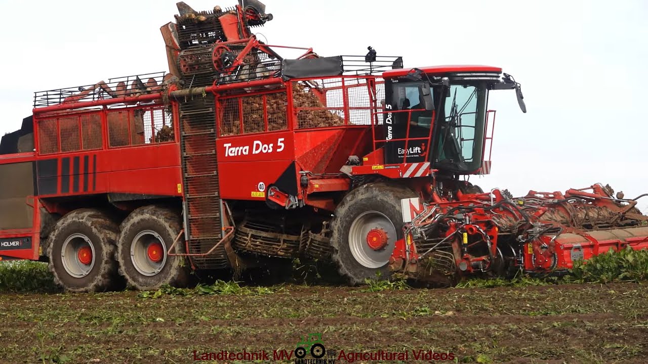 Holmer - John Deere - Bergmann / Zuckerrübenernte - Sugar Beets Harvest