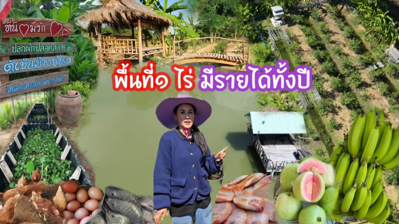พื้นที่1ไร่มีรายได้ทั้งปี🧑‍🌾ลงทุน๑หมื่นได้คืนหลักแสน