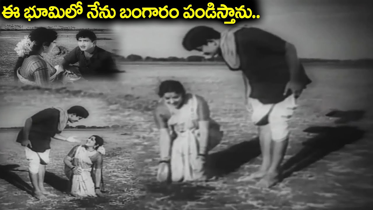 ఈ భూమిలో నేను బంగారం పండిస్తాను.. | Super Star Krishna Super Hit Movie Scene | Telugu Movie Scenes