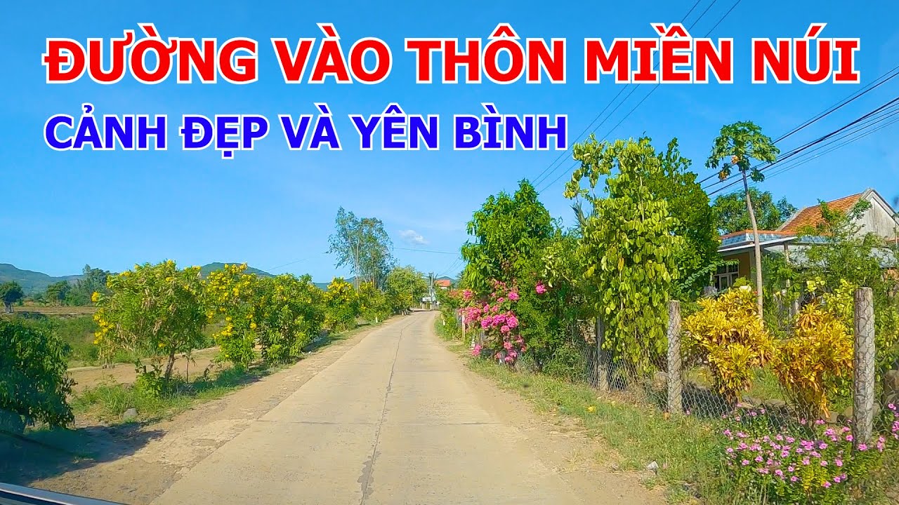 NÚI LONG SƠN - THÔN MỸ PHÚ - THÔN TUY DƯƠNG | TUY AN - PHÚ YÊN 13-06-2024