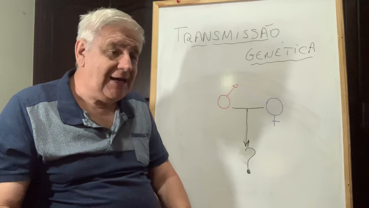 Genética dos Galos combatentes - Transmissão genética