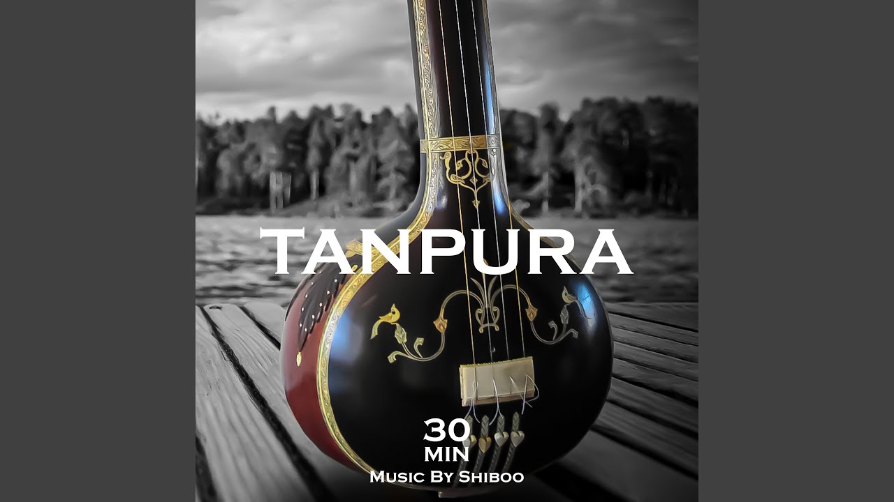 Tanpura - D# Scale