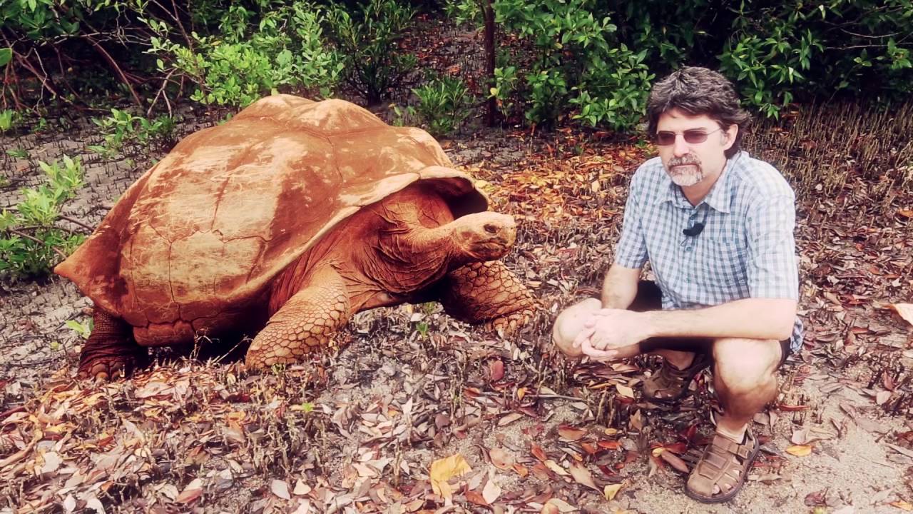 Introduction to Charles Darwin, Evolution and Tropical Australia MOOC