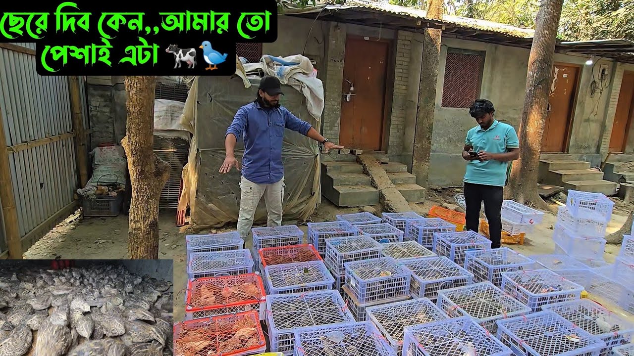 ছেরে দিব কেন,,আমার তো পেশাই এটা 🐄🐦 