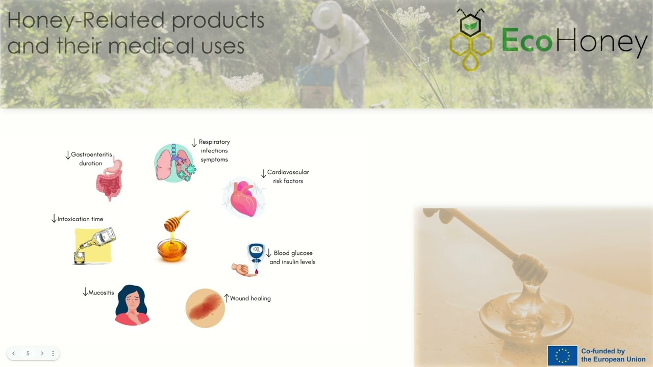 H3 - 1.3 & 3.2 - Honey in Medicine & Health - Tutorial