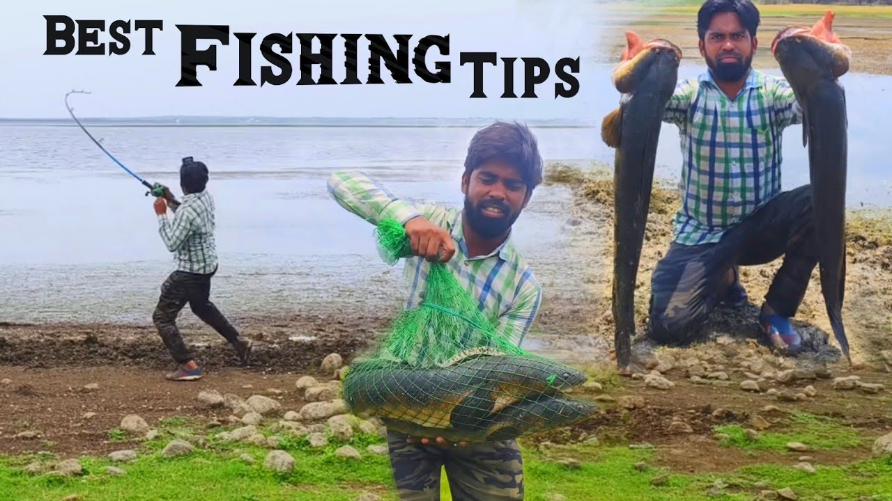 Big Snakehead Fishing Tricks | मेंढक से मछली पकड़ने का तरीका | Frog fishing tips | Fishing Rod tips