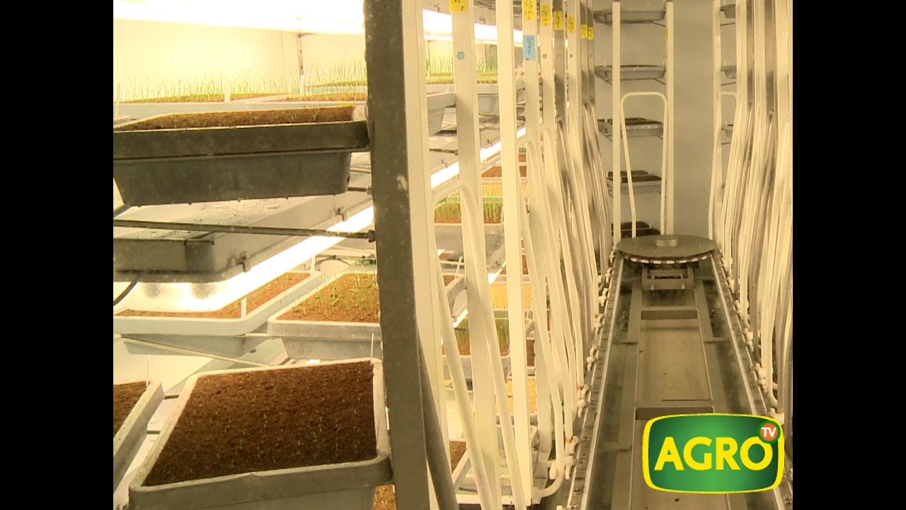 AgroTV en Holanda: Nunhems, reyes de los vegetales (#694 2016-11-19)