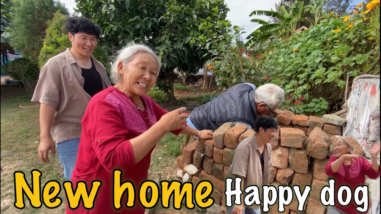 My dog’s new house, new vibes🐶 || #tibetanvlogger #dailyvlogs 