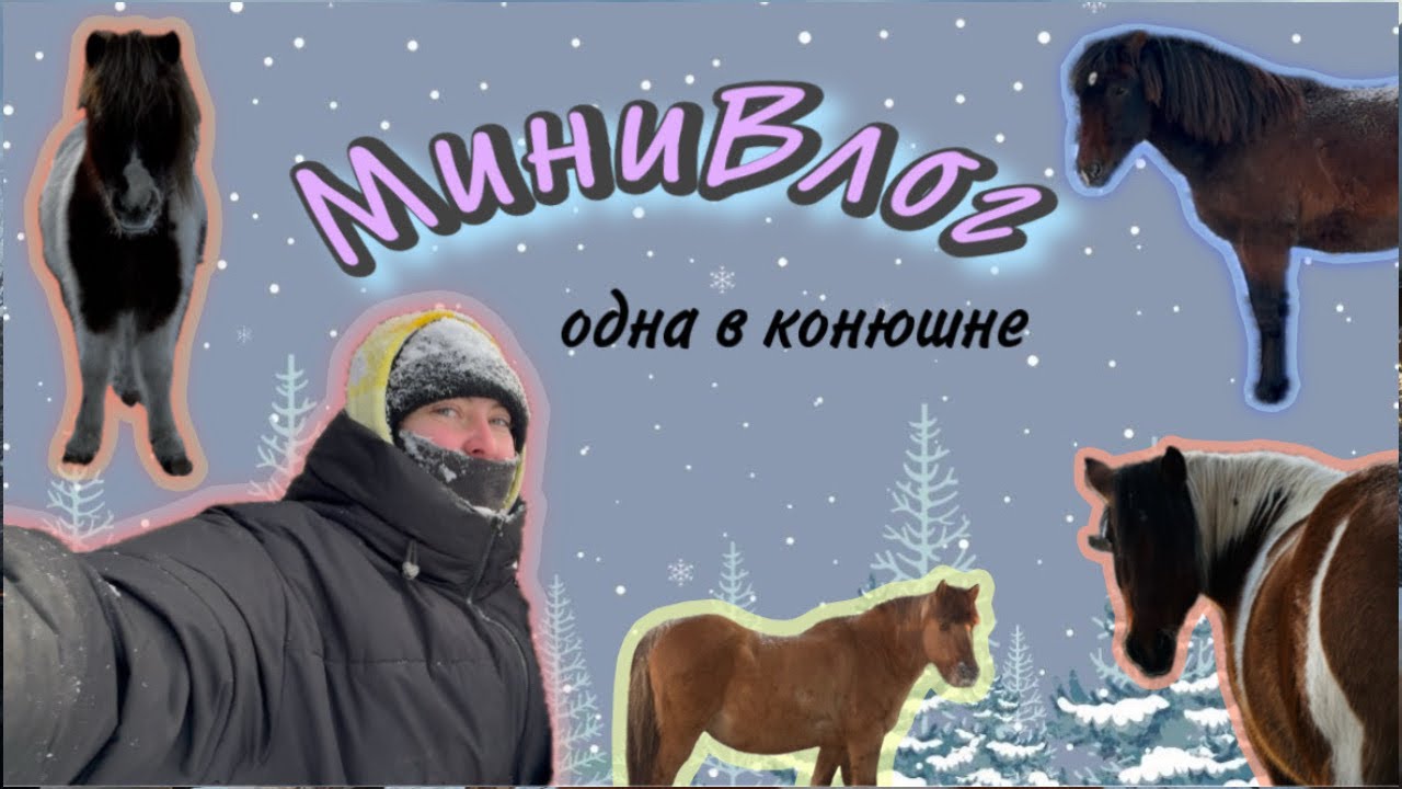 МиниВлог / ОДНА В КОНЮШНЕ