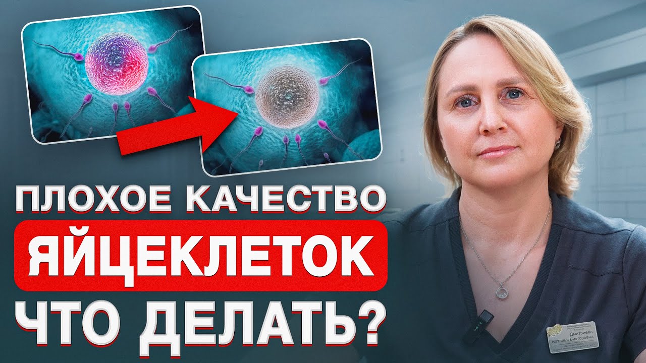 Как улучшить КАЧЕСТВО ЯЙЦЕКЛЕТОК? Репродуктолог о женском здоровье