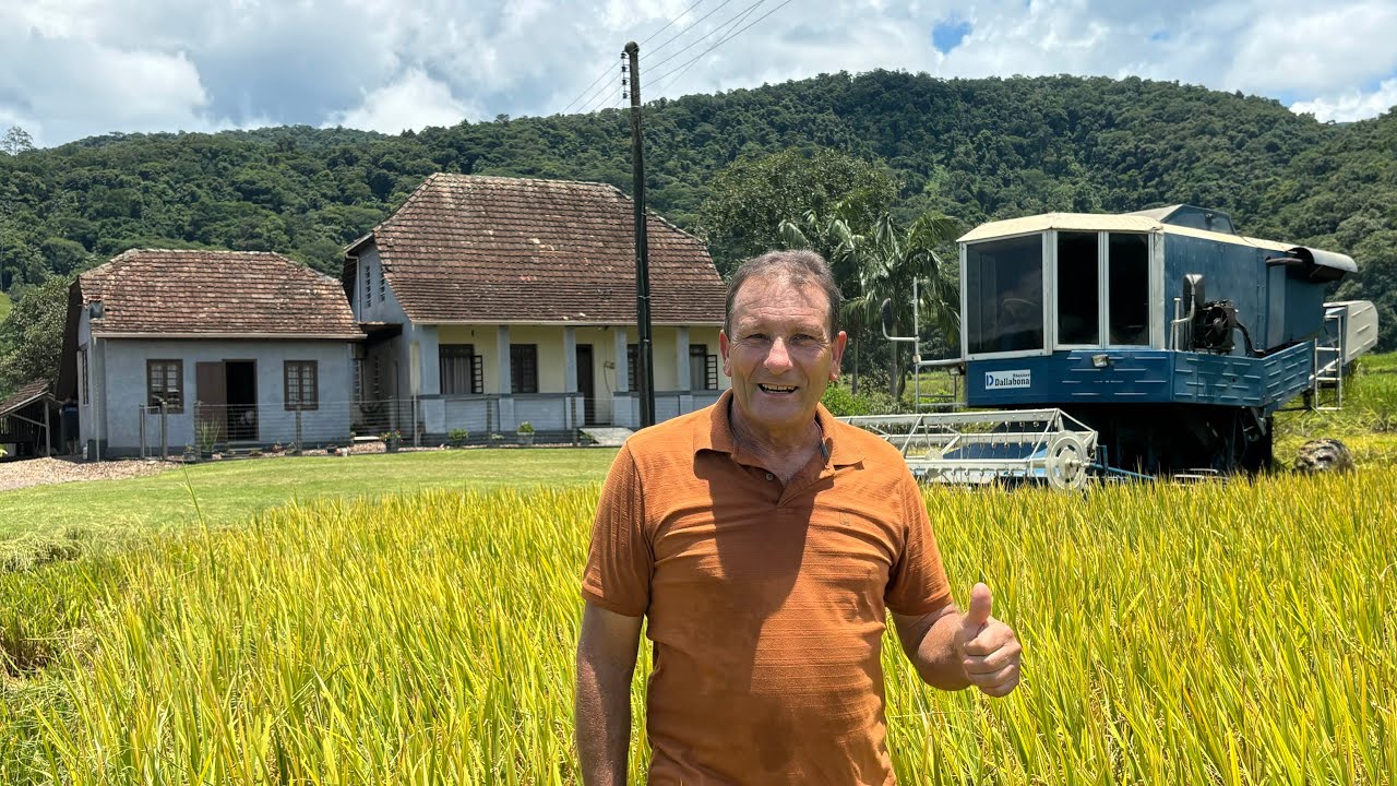 IMPRESSIONANTE A COLHEITA DO ARROZ DO JUVENAL EM ASCURRA SANTA CATARINA