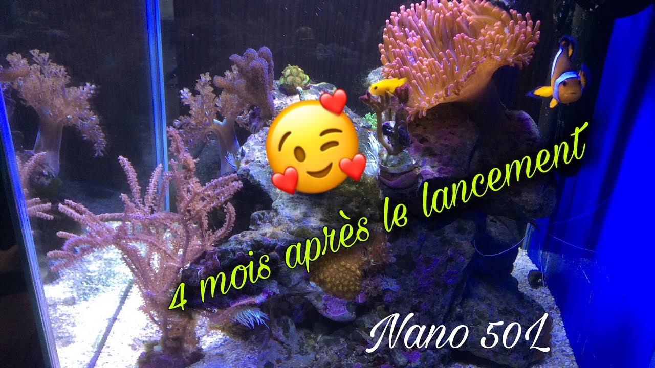 #5 4 mois après le lancement du Nano 50L