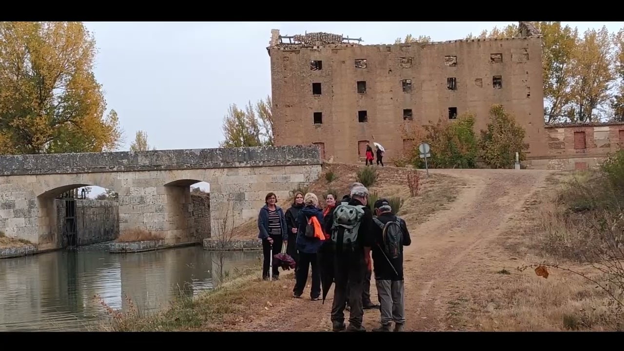 Caminando por el Canal de Castilla de medina de Rioseco 2025