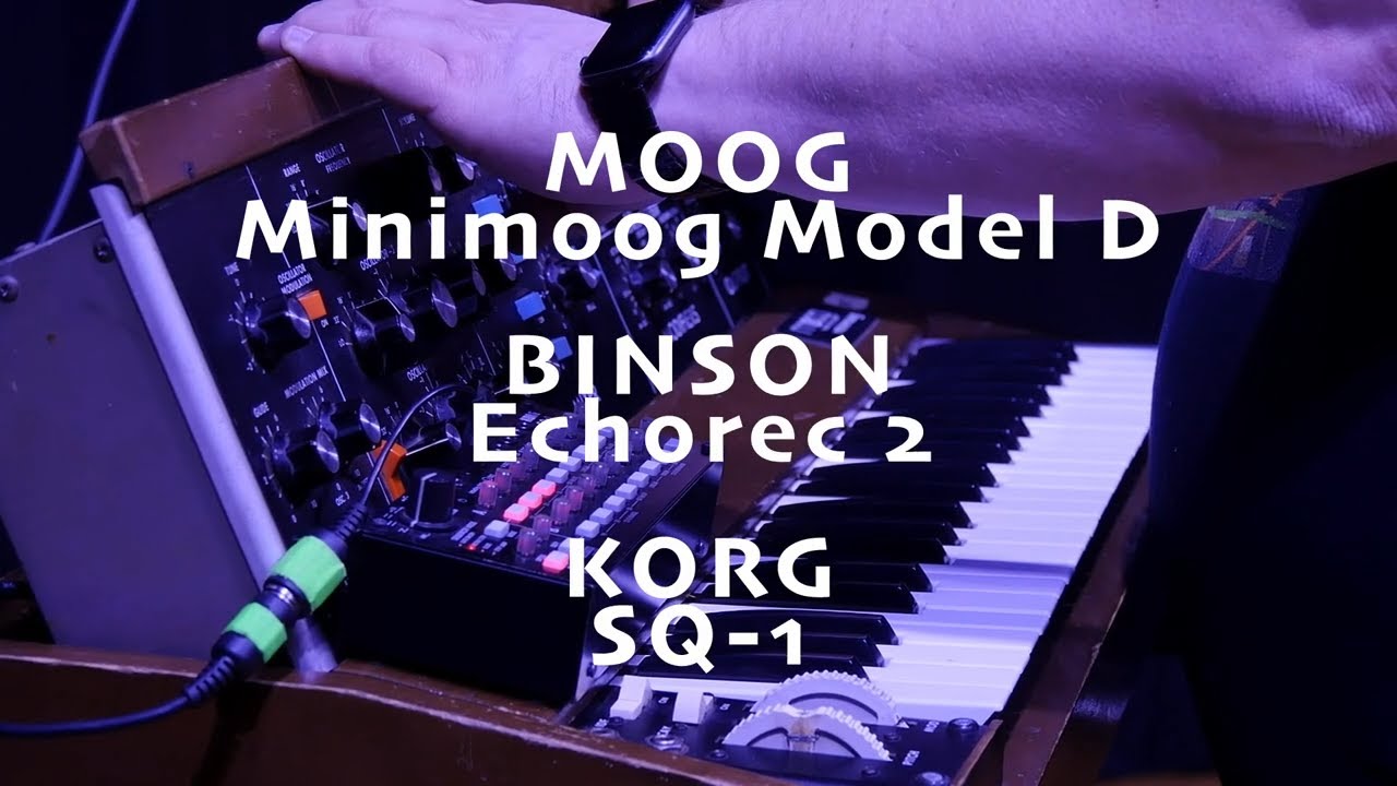 Moog Minimoog, Binson Echorec, Korg SQ1 SONIC TEST DRIVE feat. Ombient