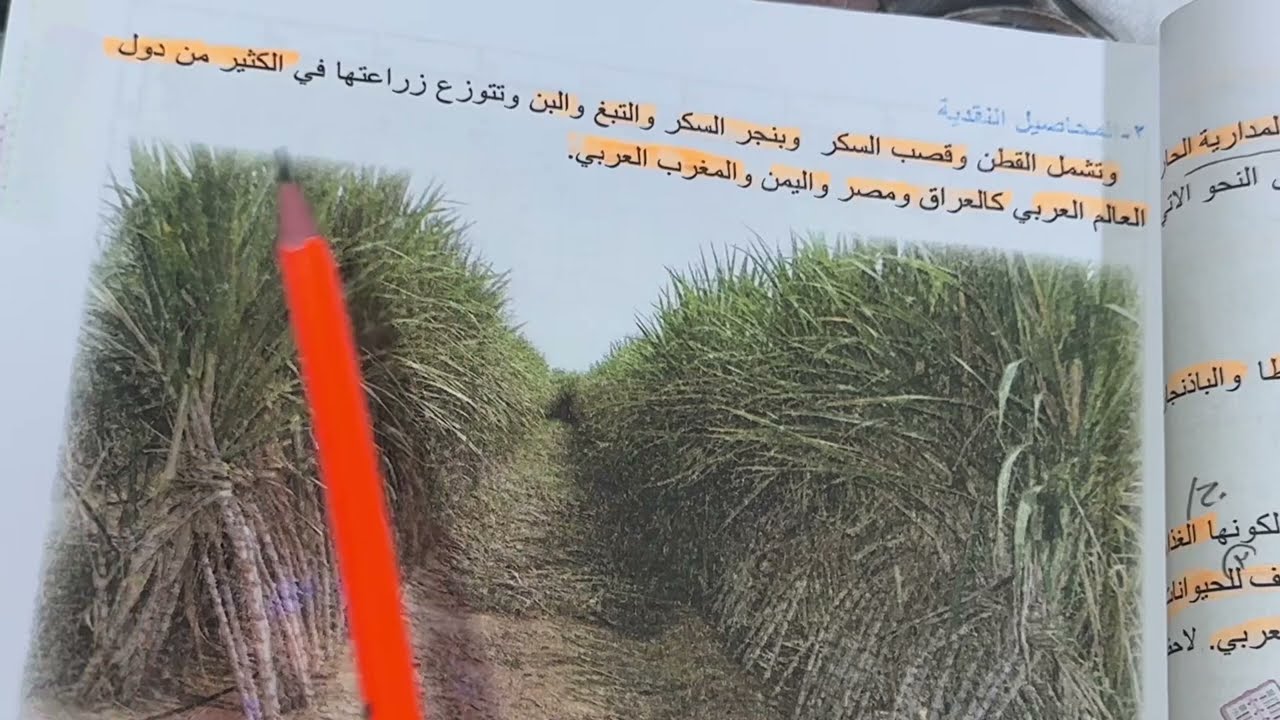 المحاصيل الزراعية في العالم العربي وتوزيعها الجغرافي اجتماعيات الصف الثاني متوسط ص ٤٦ ، ست مريم