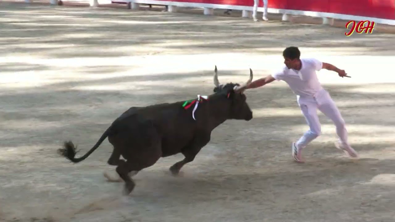 Finale du Muguet d'OR 2 Juin 2024 Beaucaire