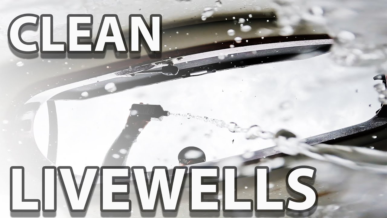 How to Easily Clean Your Livewells