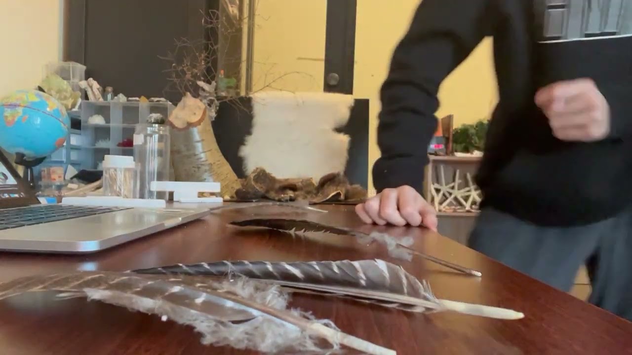 How to Fix Frayed Feathers