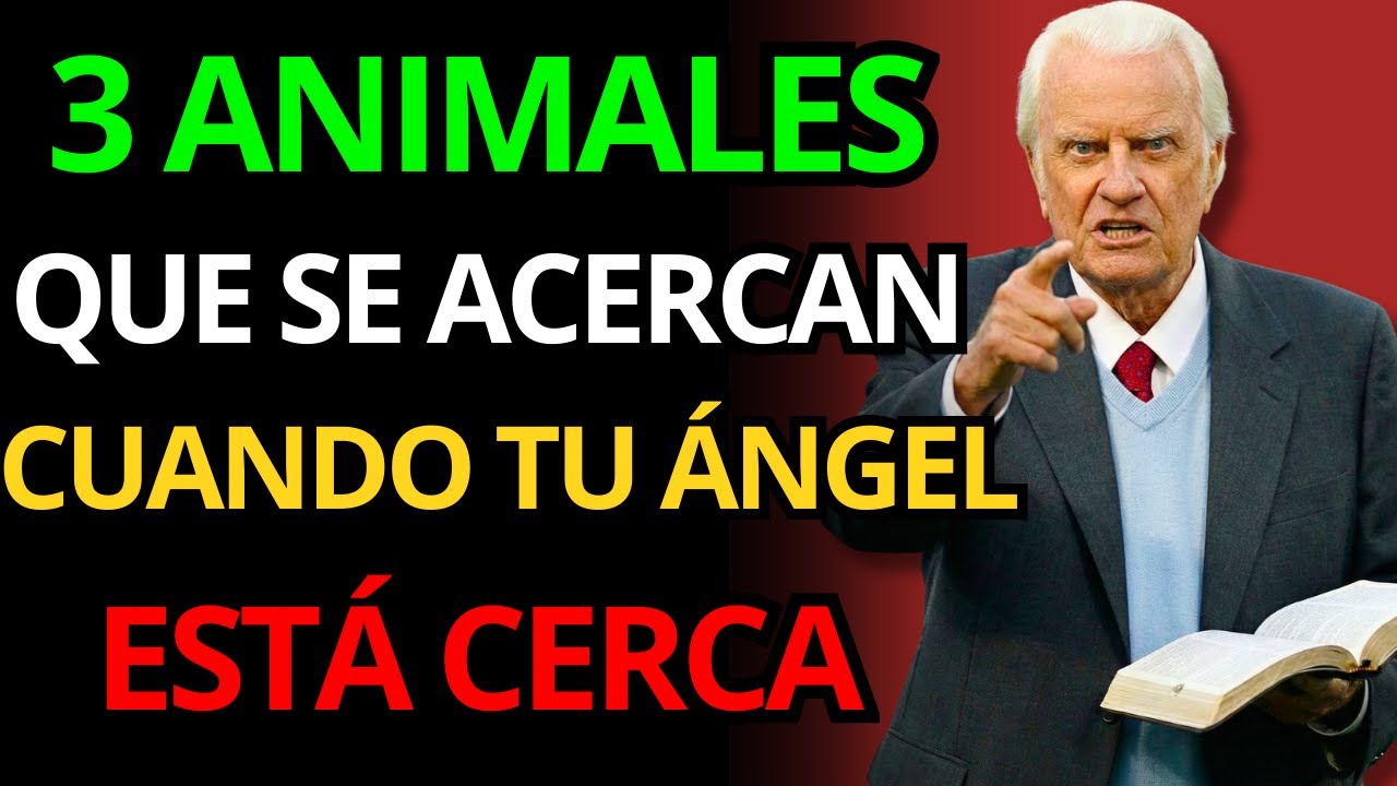 BILLY GRAHAM REVELA: ESTOS 3 ANIMALES SON SIGNOS DE PROTECCIÓN ANGELICAL