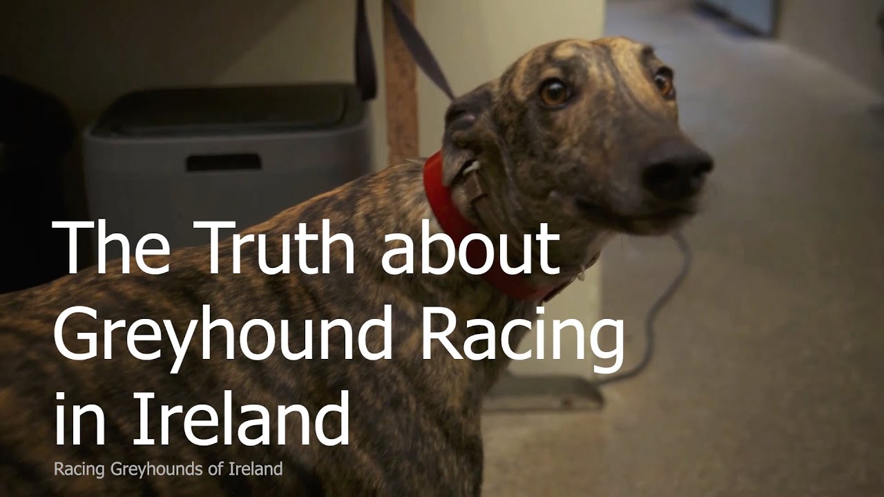 Setting the Record Straight | #BehindTheTrack Part 7